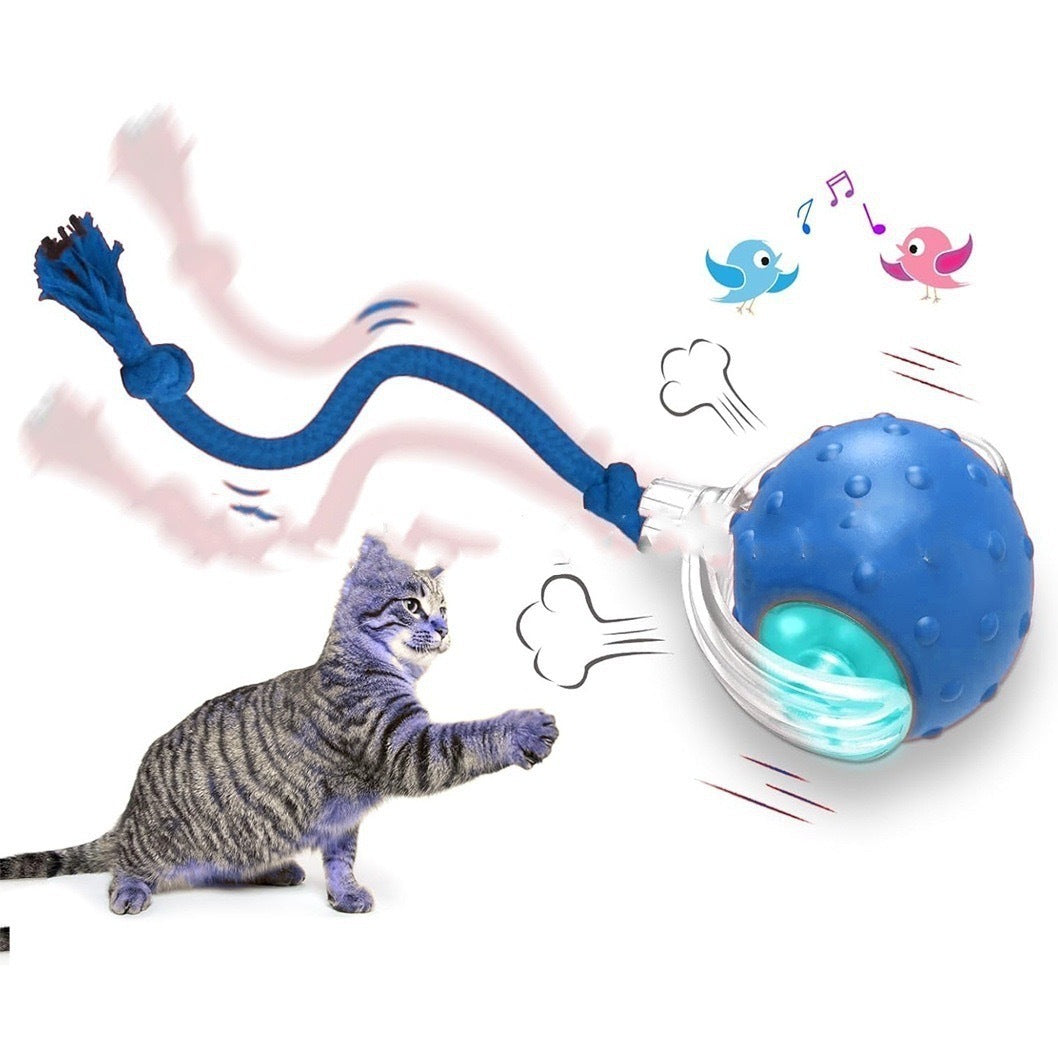 β¨ Interactive Cat Toy Ball β Motion-Activated, USB Rechargeable