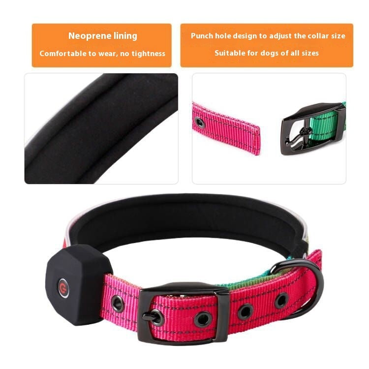 USB Rechargeable LED Pet Collar with Reflective Stripe | Safe Night Glow