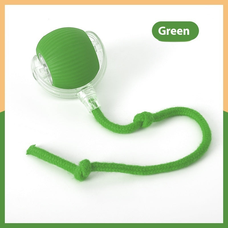 β¨ Interactive Cat Toy Ball β Motion-Activated, USB Rechargeable