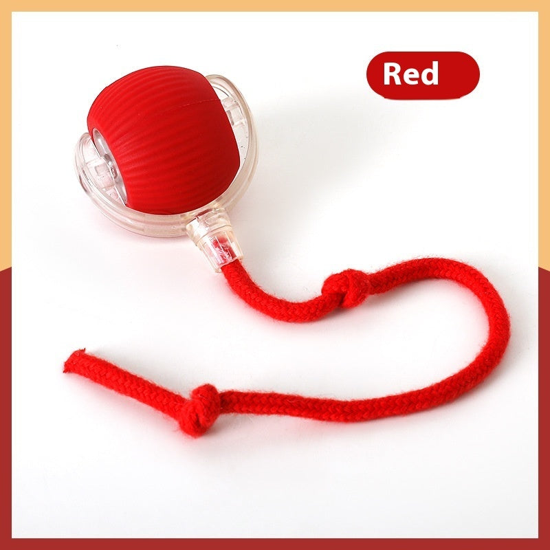 ✨ Interactive Cat Toy Ball – Motion-Activated, USB Rechargeable