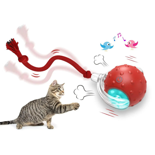 ✨ Interactive Cat Toy Ball – Motion-Activated, USB Rechargeable