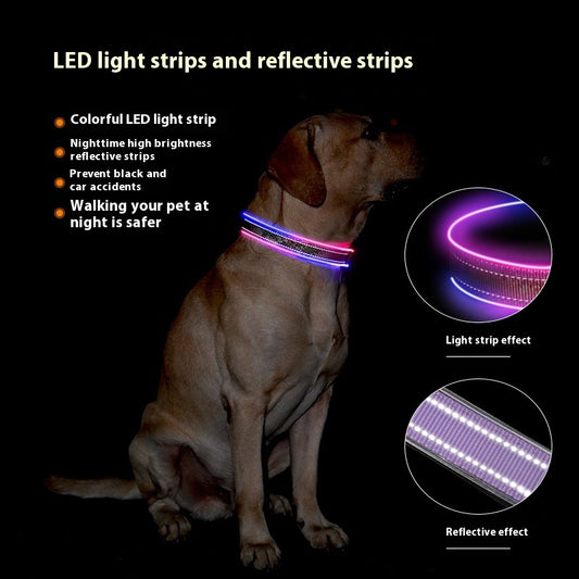 USB Rechargeable LED Pet Collar with Reflective Stripe | Safe Night Glow